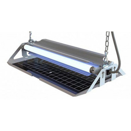 GENUS DELTA GENUS DELTA